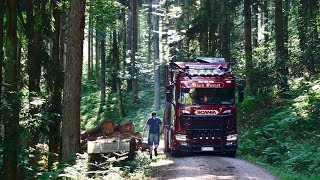 Timber Trucking in the Black Forest with Dennis | Driver's Day | Episode Eight