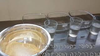 עבודת חקר- שמרים_