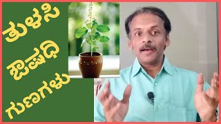 #Holy Basil types medicinal benifets in kannada viral fever immunty booster ತುಳಸಿ ಎಲೆಗಳ ಔಷಧಿ ಗುಣಗಳು