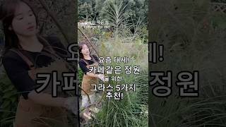 카페같은 정원 만들기 필수템!🌿😚그라스정원 만들기