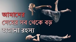 জানুন মানব দেহের এক অজানা রহস্য সম্মন্ধে | Deja vu কি ? || What is Deja vu in Bengali ?