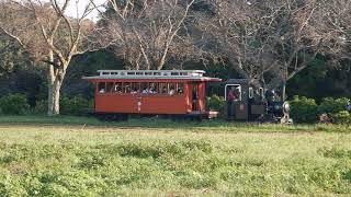 成田ゆめ牧場まきば線10月2日運転日！