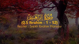 Bacaan Merdu Surah Ibrahim سورة ابراهيم - Syeikh Ibrahim Mansour