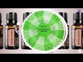 №8 Кедр Можжевельник виргинский juniperus virginiana Эфирное масло cedarwood essential oil doterra