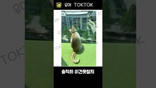 솔직히 이건못참지  #funny #comedy #viralvideo #humor #유머