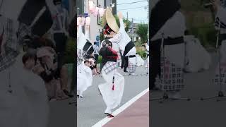 阿波踊り　弁慶連のしっとりしなやかな女踊り　#shorts