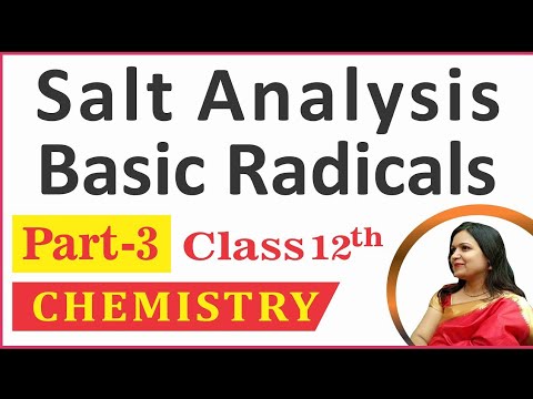 Salt Analysis-Practical Chemistry||Class 12 - Practical Exam 2022|-23 ...