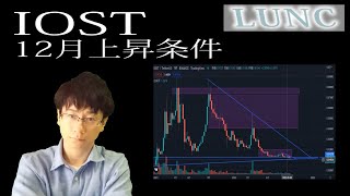 【IOST・LUNC】IOST年末に注目の理由とテラ月足レベルの下落。