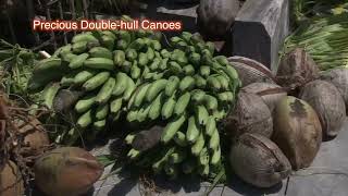 Precious Double hull Canoes English