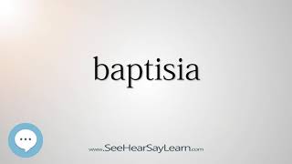 baptisia