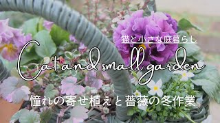 1月の購入苗とかごバッグの寄せ植え/薔薇のカイガラムシ被害/ガーデンVlog