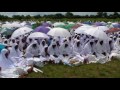 Shumba Shanu-AAC Led by Paul Mwazha of Africa