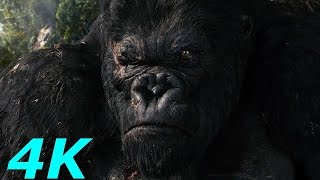 Kong Battles The T-Rexes - King Kong-(2005) Movie Clip Blu-ray HD Sheitla