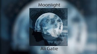 Ali Gatie - Moonlight ( Slowed & Reverb )
