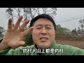 海拔越高的地方蜂蜜质量就越好，所以养蜂要放在大山上才是最好的