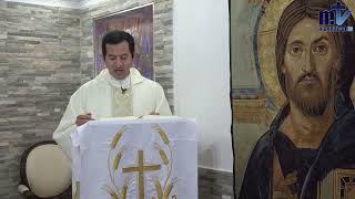 Saint Paul: From Blindness to the Light of Grace | Fr. Ricardo Mendoza FM | 01.25.25