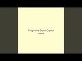 Fragments Storm Crystal
