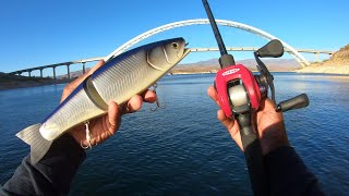 99% Of Fishermen Are NOT Man Enough To Throw This Giant Lure!