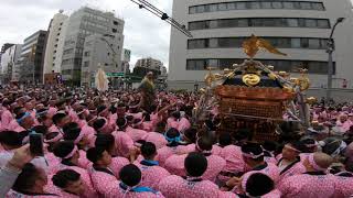 令和元年  　鳥越神社　例大祭　「 二長町 」本社千貫神輿町内渡御　迫力満点です（生）  。