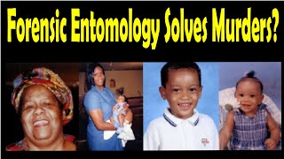 Bugs and Insects Help Solve Crime: Forensic Entomology