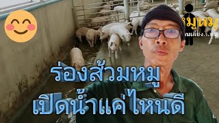 ร่องส้วมหมู เปิดน้ำแค่ไหนดี