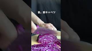 紫キャベツを切る音。#shorts #food #youtubeshorts #asmr #cooking #料理 #野菜