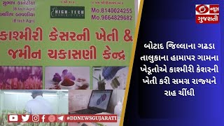 બોટાદ જિલ્લાના ગઢડા તાલુકાના હામાપર ગામના ખેડૂતોએ કાશ્મીરી કેશરની ખેતી કરી સમગ્ર રાજ્યને રાહ ચીંધી