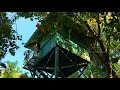 kumarakom birds sanctuary കുമരകം കായലോരത്തെ സംരക്ഷിത വനം forest walk near backwaters kerala