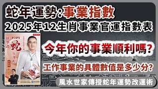 蛇年事業︱2025年12生肖事業官運指數表︱今年你的事業順利嗎？︱子平八字算命︱犯太歲、人緣運、財運、事業運、姻緣運解說《#徐墨齋七星堂︱第38集》八字︱八字算命︱FMTV