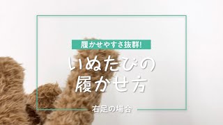 履かせやすいタビ型犬の靴「いぬたび」の履かせ方