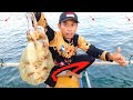 Mancing Cumi Di Karang Dangkal || Banyak Cumi Babon @Angler Cumi