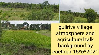 the gulirive village atmosphere and agricultural talk background by eachnur