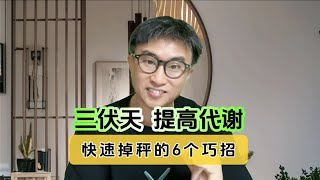 三伏天减肥，养好代谢、促进掉秤的6个巧招！