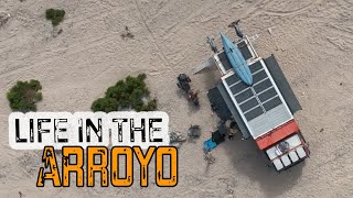 Life In The Arroyo In Southern Baja Mexico