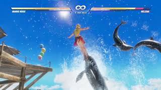 DOA6(Seaside) dolphin