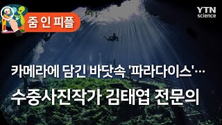 [줌 인 피플] 카메라에 담긴 바닷속 '파라다이스'…수중사진작가 김태엽 전문의 / YTN 사이언스