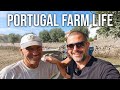 We've Waited Years For This!!! | PORTUGAL FARM LIFE