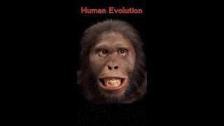 15 Millions Years Of Human  Evolution only in 29 Seconds⏰️  Must Watch #shorts #viral