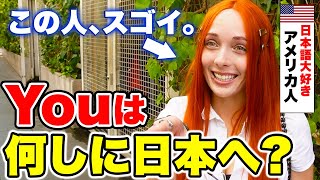 「YOUは何しに日本へ？」日本語が大好きな外国人に来日の理由から日本の印象まで色々聞いてみた！｜【外国人観光客にインタビュー】　【海外の反応】
