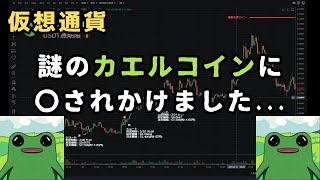 【仮想通貨】謎のカエルコインに投資した結果...