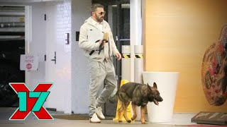 Ben Affleck Keeps Busy Amid House Hunt, Arrives At Hollywood Office With Guard Dog