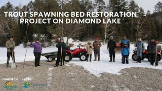 Restoring a historic trout spawning bed on Diamond Lake, Ontario