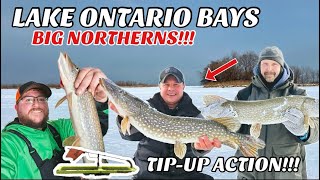 CHASING FLAGS!!! - Tip-Ups for BIG Northern PIKE on Lake Ontario Bays!!!