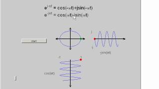 complex exponentials   visualisation