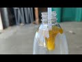 how to dilute fruit tree concentrate spray with water