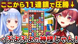 ぺこらに11連鎖で圧勝してぷよぷよの神様になるマリン船長【ホロライブ切り抜き/兎田ぺこら/宝鐘マリン】