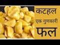 kathal ek gunkari fal ki kahani कटहल एक गुणकारी फल की कहानी