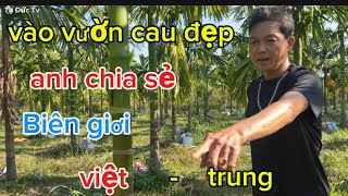 vào vườn cau đẹp anh chia sẻ