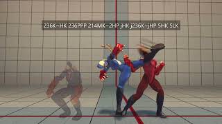 [SF4REMIX] Decapre Basic Combos (B25)
