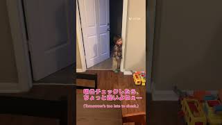 ［2歳4ヶ月］①どうしてもオムツ替えしたくない#shorts ver. /2-year-old rejecting a diaper change part 1